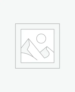 Substituent
